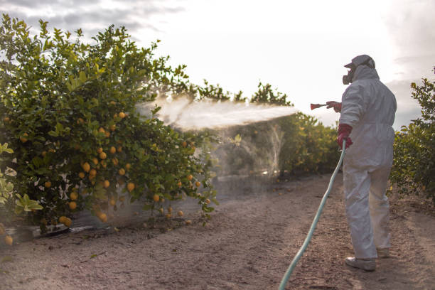 Indoor Pest Control in Charlotte, TX